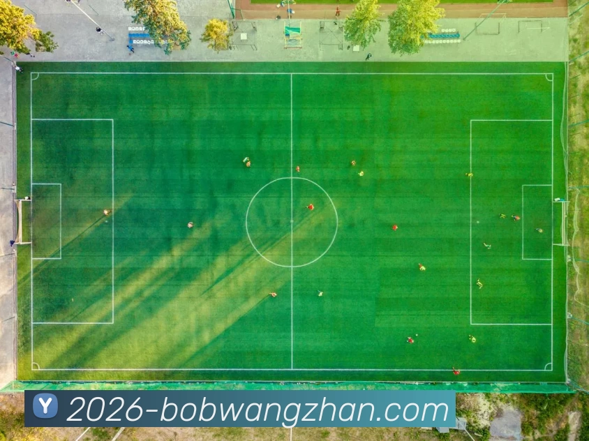 bob官方网站APP 封面图